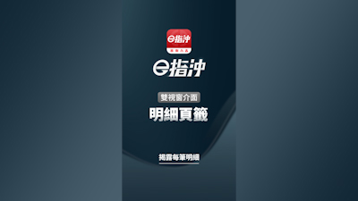 雙視窗介面 ─ 明細頁籤