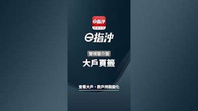 雙視窗介面 ─ 大戶頁籤