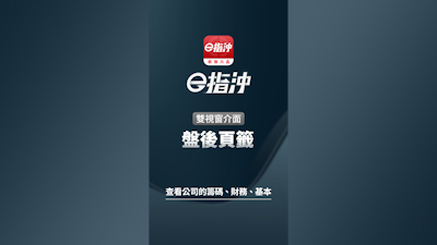 雙視窗介面 ─ 盤後頁籤